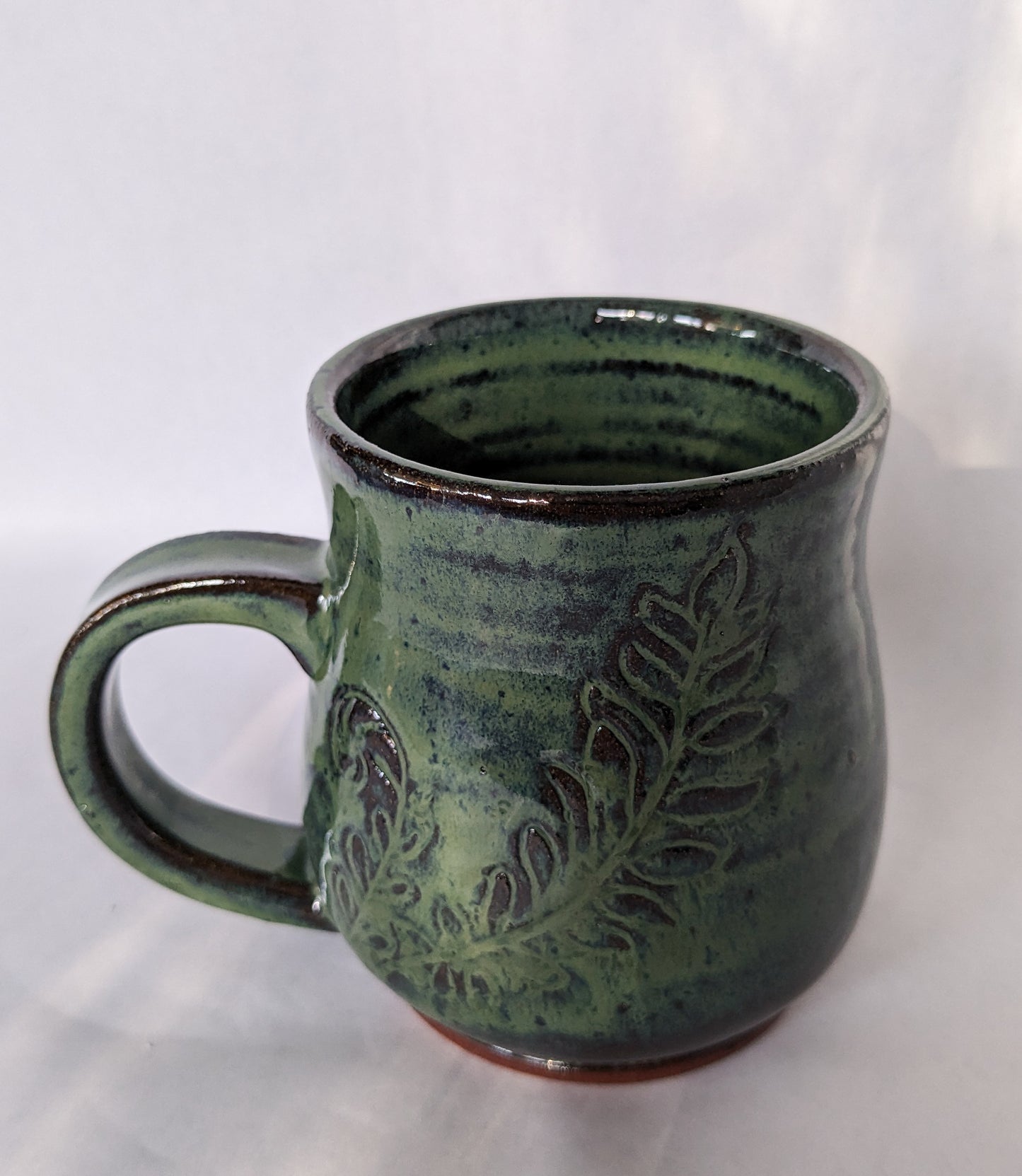 Fern 1