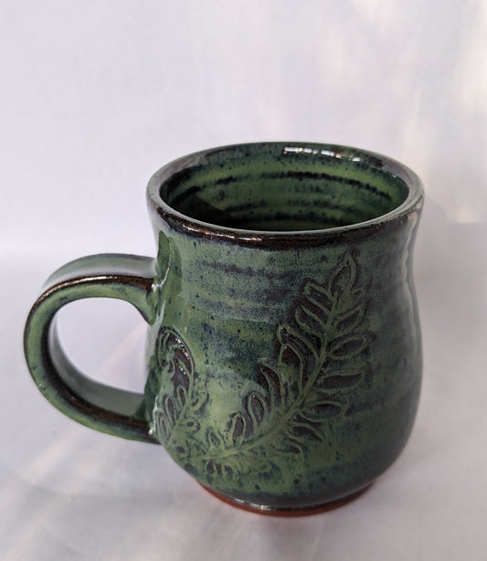 Fern 1