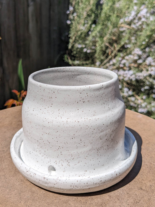 classic white speckled planter